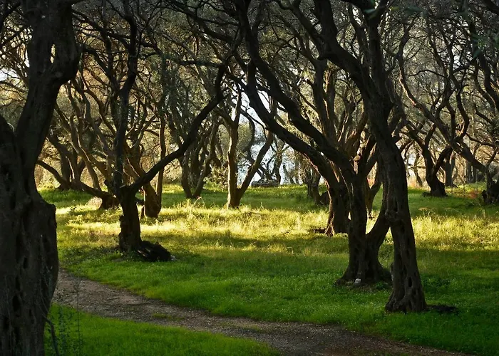 Sunset * Paramónasz