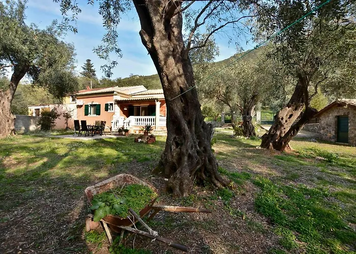 Sunset * Paramónasz